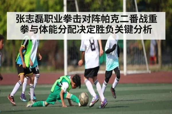 张志磊职业拳击对阵帕克二番战重拳与体能分配决定胜负关键分析